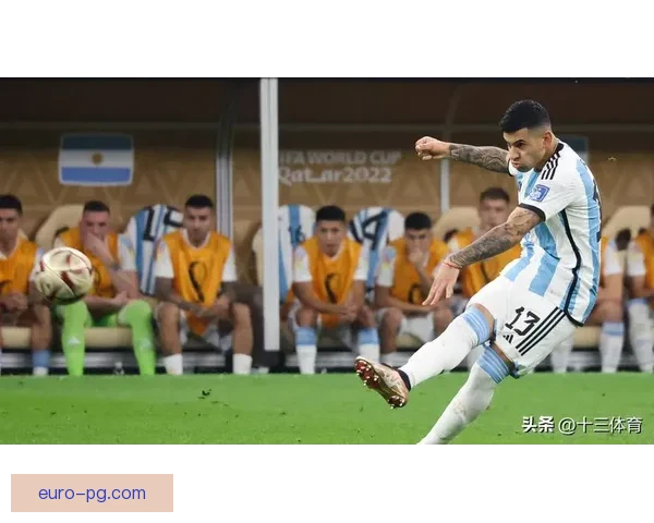 世界杯出线形势解析与趋势亮点盘点各队前景新格局竞争焦点全面观察
